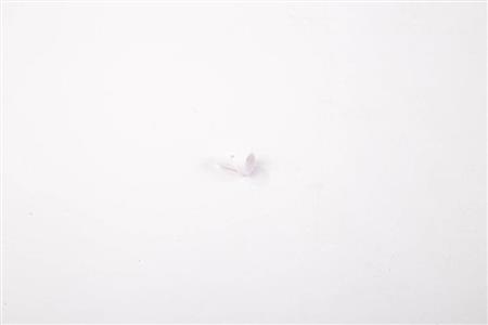 DIFUSOR P/ TORCHA MIG BW501D